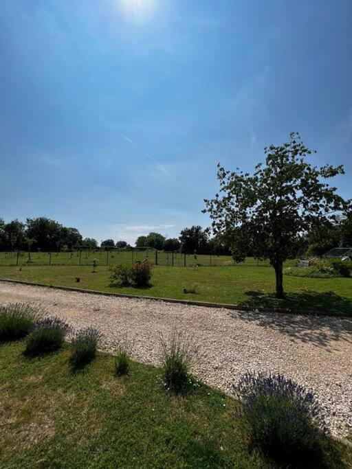 Villa Longere Berrichonne, Calme Absolu, 13 Personnes Saint-Pierre-les-Etieux Esterno foto